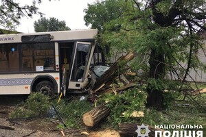 В Запорожье коммунальный автобус врезался в дерево: есть пострадавшие фото 2